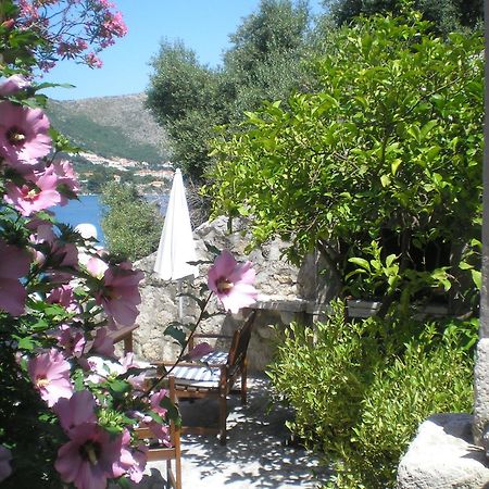 Villa Gverovic Štikovica Oda fotoğraf