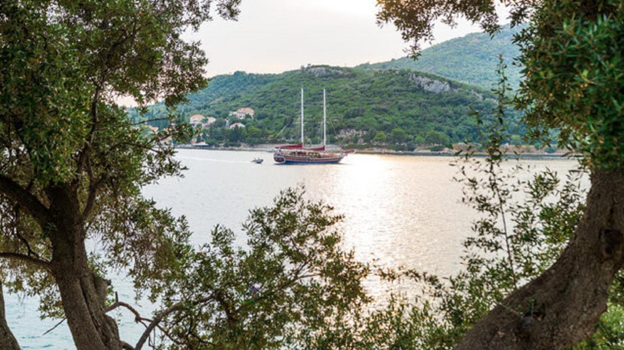 Villa Gverovic Štikovica Oda fotoğraf