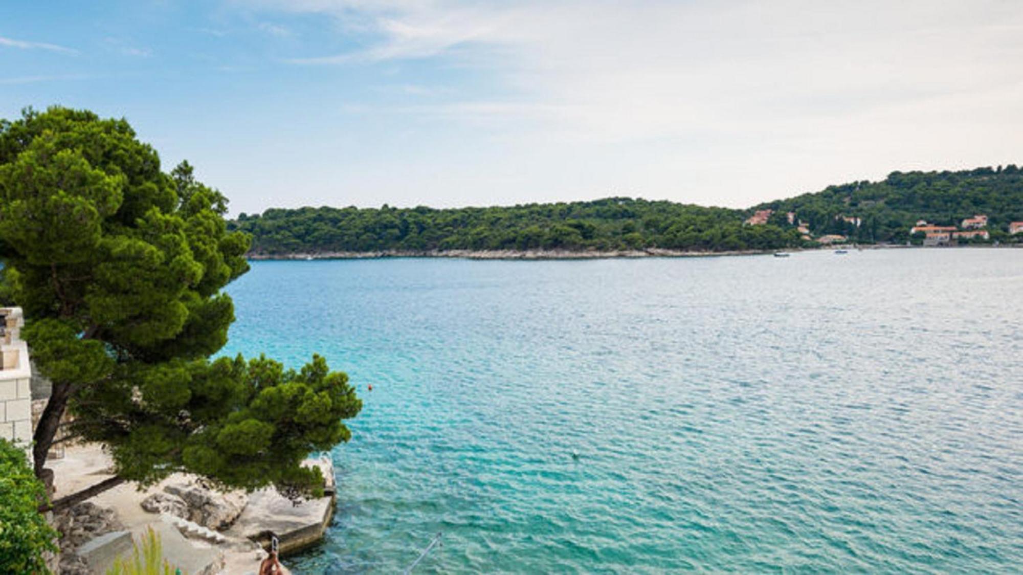 Villa Gverovic Štikovica Oda fotoğraf