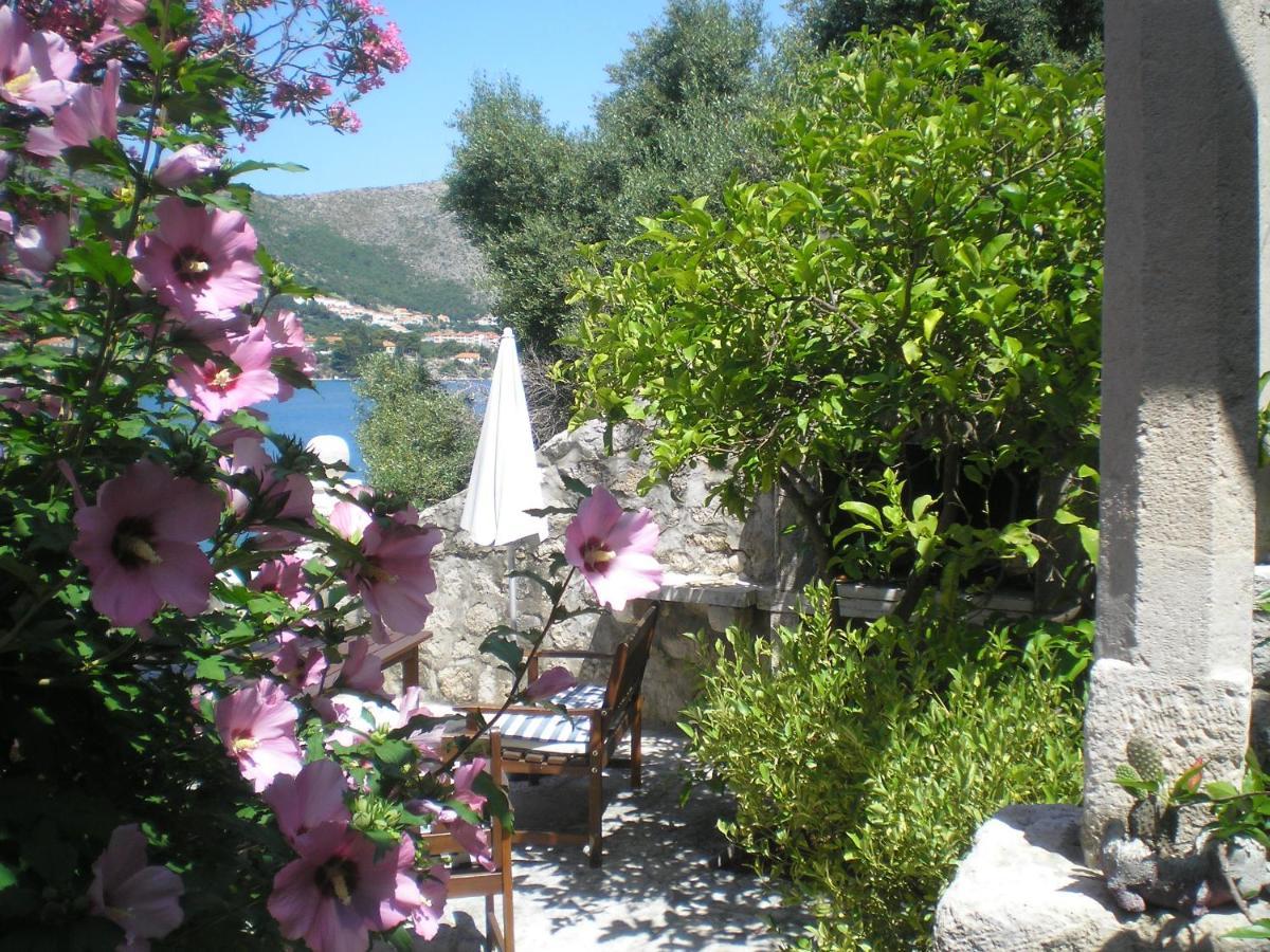 Villa Gverovic Štikovica Oda fotoğraf